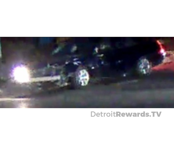 Hit & Run at Schoolcraft and Rutland City of Detroit